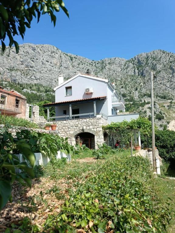 Holliday Home Alida With Jacuzzi Podgora Zewnętrze zdjęcie